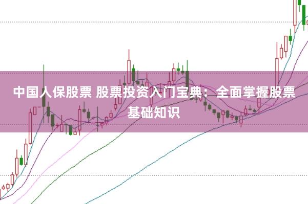 中国人保股票 股票投资入门宝典：全面掌握股票基础知识