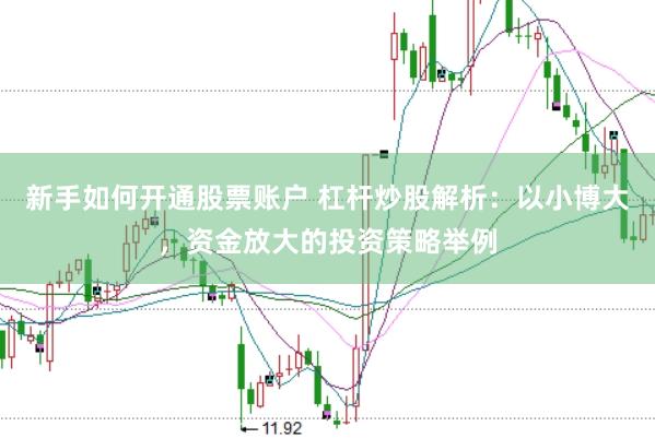 新手如何开通股票账户 杠杆炒股解析：以小博大，资金放大的投资策略举例