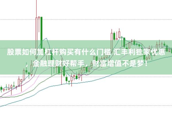 股票如何加杠杆购买有什么门槛 汇丰利独家优惠,金融理财好帮手,财富增值不是梦!