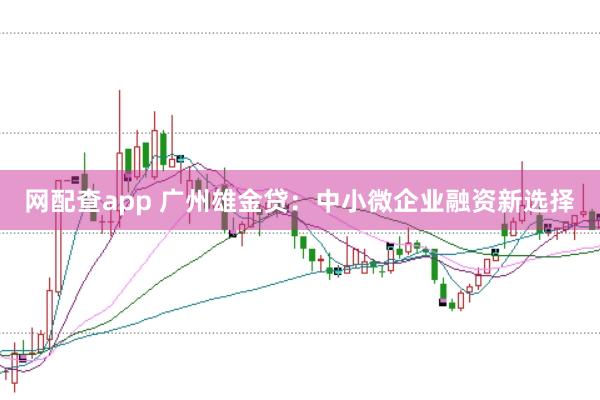 网配查app 广州雄金贷：中小微企业融资新选择
