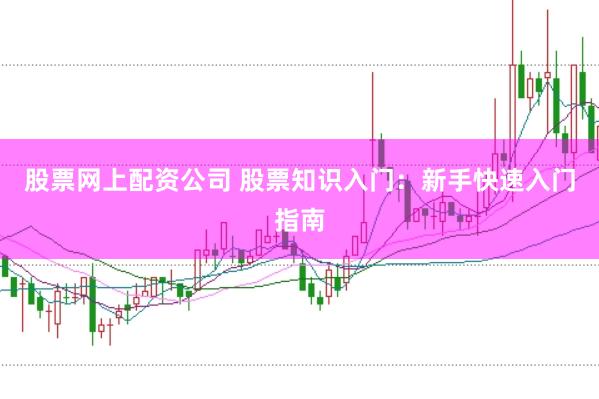 股票网上配资公司 股票知识入门:新手快速入门指南
