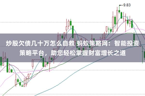 炒股欠债几十万怎么自救 蚂蚁策略网：智能投资策略平台，助您轻松掌握财富增长之道