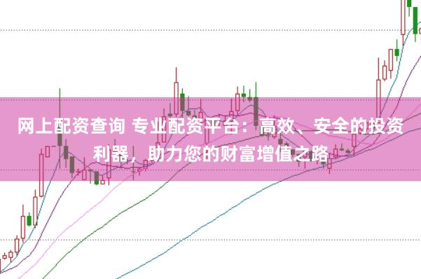 网上配资查询 专业配资平台：高效、安全的投资利器，助力您的财富增值之路