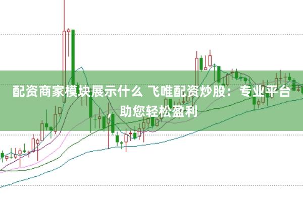 配资商家模块展示什么 飞唯配资炒股:专业平台,助您轻松盈利
