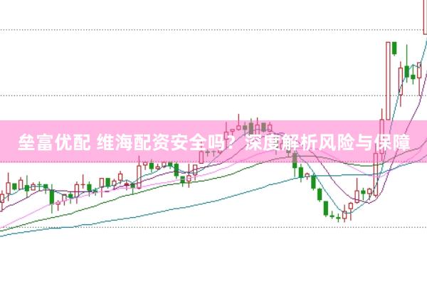垒富优配 维海配资安全吗？深度解析风险与保障