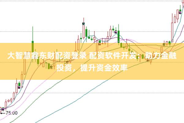 大智慧鑫东财配资登录 配资软件开发：助力金融投资，提升资金效率