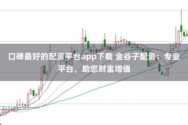 口碑最好的配资平台app下载 金谷子配资：专业平台，助您财富增值
