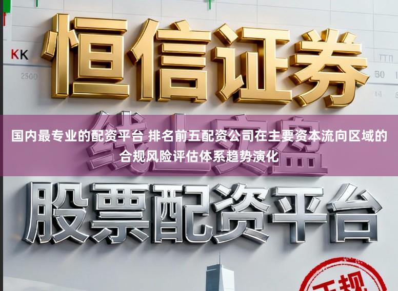 国内最专业的配资平台 排名前五配资公司在主要资本流向区域的合规风险评估体系趋势演化