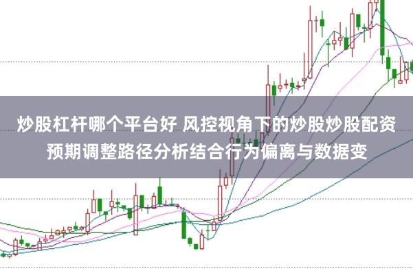 炒股杠杆哪个平台好 风控视角下的炒股炒股配资预期调整路径分析结合行为偏离与数据变