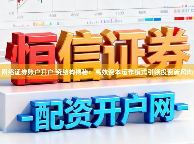 网络证券账户开户 资结构揭秘：高效资本运作模式引领投资新风向